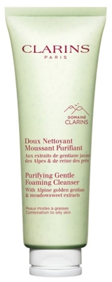 CLARINS PURIFYING GENTLE FOAMING CLEANSER